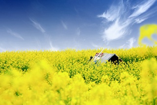 <b>_(ki)ȥ ɶf(wn)ͨg(l)</b>